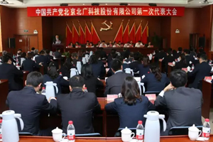 中共北京文啓飛揚科技有限公司第一次黨代會勝利召開